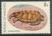 [Turtle Conservation Campaign, type AFL]