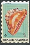 [Sea Shells and Cowries, type TK]