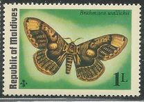 [Butterflies and Moth, type VL]