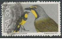 [Flora and Fauna, type NT]