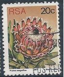 [Flora - Protea Plants, тип PR]