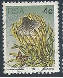 [Flora - Protea Plants, тип PJ]