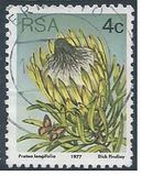 [Flora - Protea Plants, тип PJ]