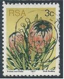 [Flora - Protea Plants, тип PI]