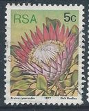 [Flora - Protea Plants, тип PK]