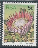 [Flora - Protea Plants, тип PK]