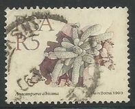 [Succulents, type ZV]