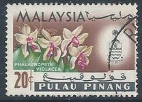 [Orchids, tyyppi AL]