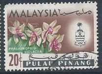 [Orchids, tyyppi AL]