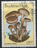 [Airmail - Fungi, տեսակ CK]