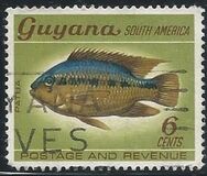 [selvaggina, Scrivi BG]