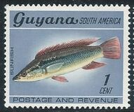 [selvaggina, Scrivi BC]