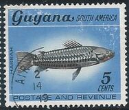 [selvaggina, Scrivi BF]