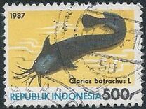 [Fish, type AVG]