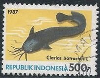 [Fish, type AVG]