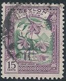 [Local Motifs, тып CF]