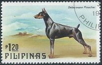 [Dogs and Cats, type AOV]