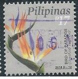 [Definitive - Flowers, ประเภท KDY]