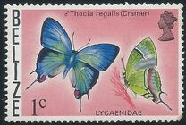 [Butterflies of Belize, type J]