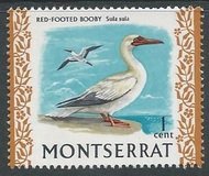 [Indigenous Birds, type DR]