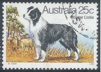 [Dogs, type TS]