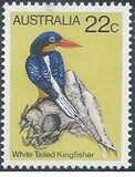 [Birds, tip TW]