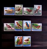 [Birds, type LG]
