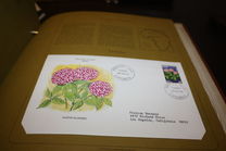 [Flowers, tip DN]