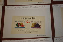 [Fruits - Afghan Red Crescent Society, type HV4]