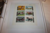 [Horses, type ELD]