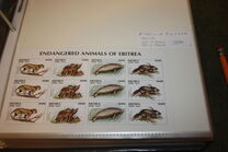 [Endangered Animals - Mammals, type AR]