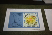 [Nature Conservation, type MF]