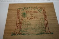 [Gabon Trees, jenis FE]