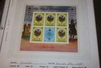 [Royal Wedding of Prince Charles and Lady Diana Spencer, Tipi ADG]