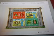 [Iraqi Scouts and Guides, タイプ FU]