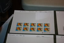 [Beach Umbrella Booklet Issue, Tipi BSV]