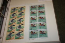 [Water Birds - Japanese Gull & Little Grebe, type CHW]