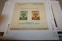 [Airmail - World Refugee Year, ประเภท GI]