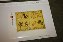 [Traditional Chinese Medicine, type AID]