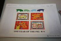 [New Year - Year of the Pig, 類型 FMJ]