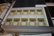 [Paintings, ประเภท FSK]