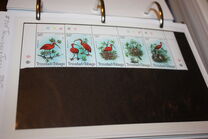 [International Stamp Exhibition "LONDON 1980" - London, England - Scarlet Ibis, type JR]