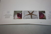 [Minerals, Scrivi LJ]