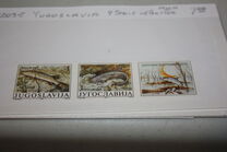 [Freshwater Fish, tip COL]