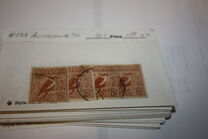 [Kookaburra, type P]