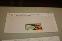[Research in Antarctica, type N]