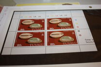[Cowrie Shells, प्रकार DM]