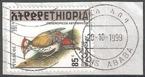 [Golden-mantled Woodpecker, type AXO16]