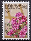 [Feria floral de Gante., tipo ALM]