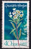 [Protected Plants, type ASU]